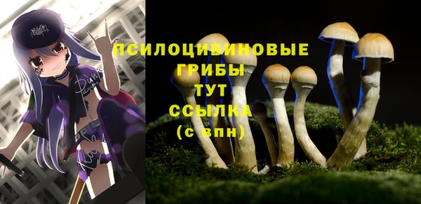 дживик Бабаево