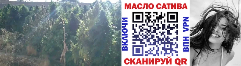Дистиллят ТГК THC oil  Купить где  Дюртюли 