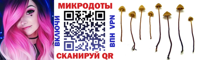 Галлюциногенные грибы прущие грибы  Купить где  Дюртюли 